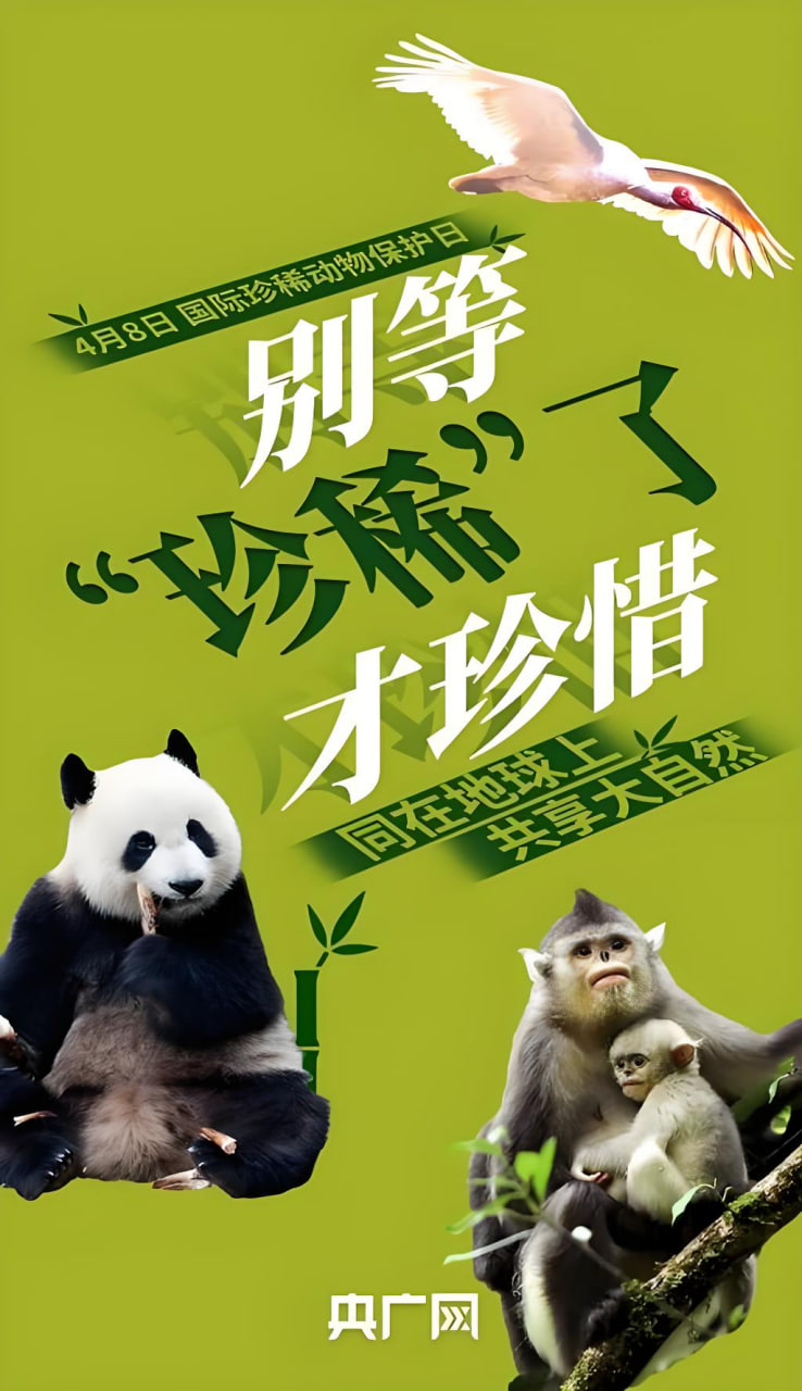 古装传奇